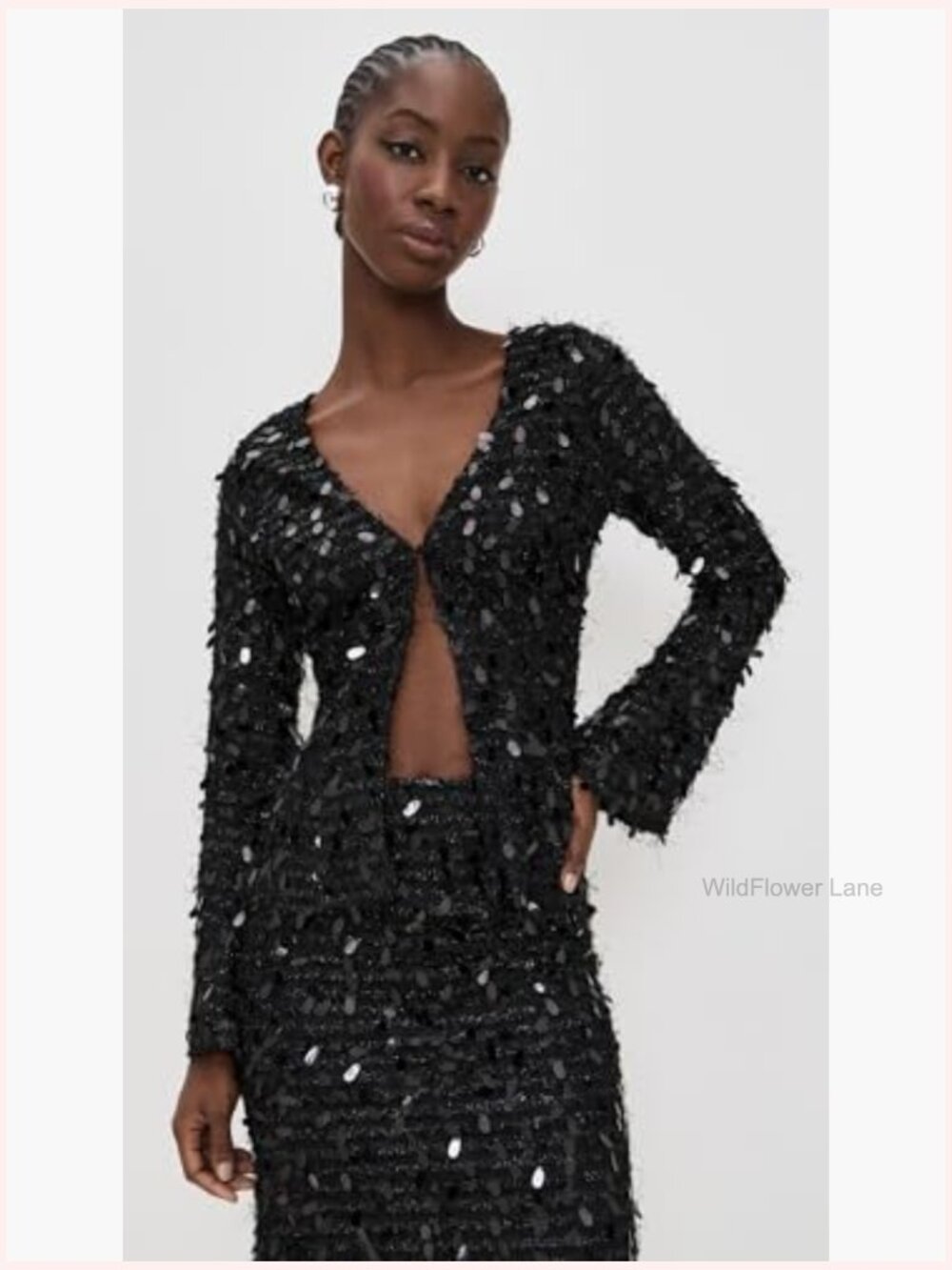 V-Neck Long Sleeve Sequin Blouse with Single-Button Placket and Back Ties - Picture 2 of 6